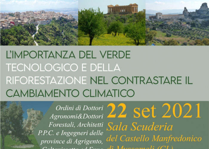 l’importanza del verde tecnologico e della riforestazione nel contrastare il cambiamento climatico