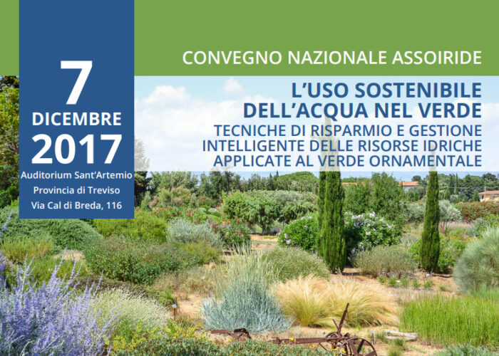 Convegno Nazionale Assoiride 2017