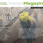 HarpoMagazine: in arrivo il terzo numero dedicato al climate change nell’ecosistema urbano