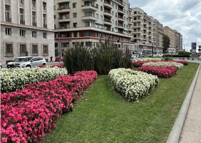 Ritorno a Viale Brigate Partigiane: un’intervista con il Dott. Riccardo Albericci