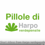 Il ruolo di Harpo verdepensile | Video-pillola 1 di 18