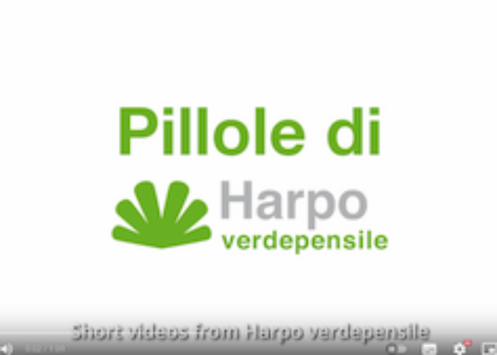 Il ruolo di Harpo verdepensile | Video-pillola 1 di 18