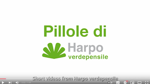 Scopri di più sull'articolo Perché scegliere Harpo verdepensile | Video-pillola 2 di 18