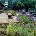 Un Giardino sul Ponte Ettometrico