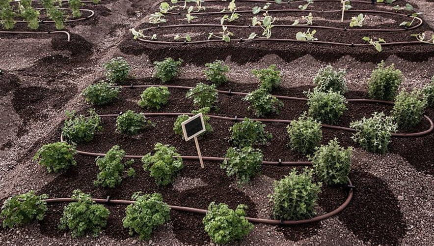 Teli e reti Manutenzione di orti e giardini